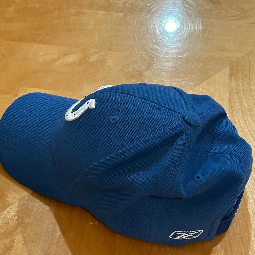 Colts Hat - Picture 2 of 5